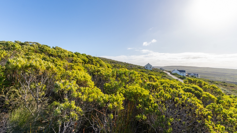 0 Bedroom Property for Sale in Agulhas Western Cape